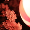 桜まつり