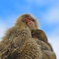 春はそこまで
