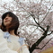美女と桜