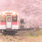 ～ 桜の駅... 今年も ～