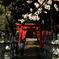 桜・神社 2