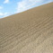 DSCF6111
