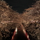 夜桜