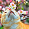 よい香りだな
