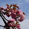DSC02840