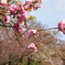 DSC02841