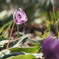 P4025601