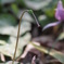 P4025708