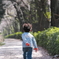 桜色の散歩道