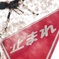 時間は止まらない