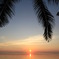 SUNRIZE
