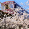 桜　　阪急宝塚線