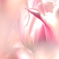 DSCF5284