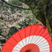 紅淡桃