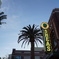 Desert city before sunset