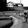 道は真っ直ぐではない。