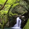 新緑深き仙厳