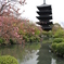 東寺