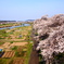 田舎の春