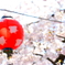 だんごより花