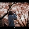 冷めた目で春をみていた。桜は燃えていた。
