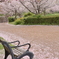 いつもの公園