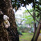 雨を凌いで