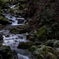 吉野山　高滝　2