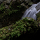 吉野山　高滝　5
