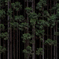 Forest 5
