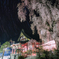 久遠寺の夜桜と星空輪廻