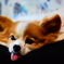 収納できません