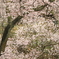 花屏風