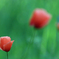 050507_163237