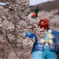 桜with天狗