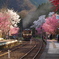 光の駅