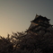 朝焼けの城