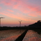 風力発電のある風景