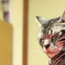 我輩は猫である