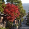 京の裏道にて