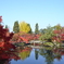 京の紅葉