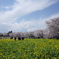 昭和記念公園01
