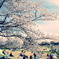 昭和記念公園03