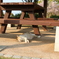 峰山公園
