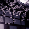 sakura et cetera 27