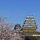 姫路城