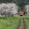 1504いすみ鉄道4