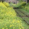 1504いすみ鉄道5