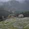 雨の丸山千枚田