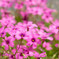 20150417-_DSC0025